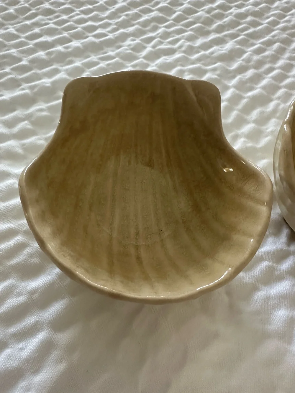Pier 1 • set of 2 seashell bowls • small